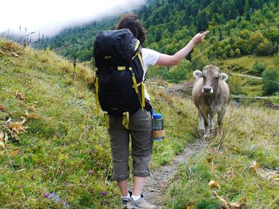 Standoff on the trail..