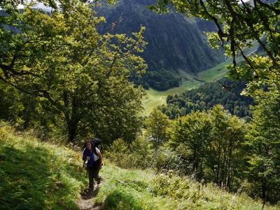 Climbing up from the lodge