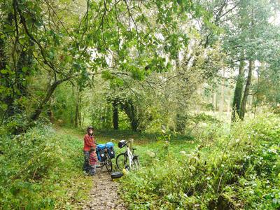 This is where Adam went looking for Trofoti (a.k.a. the Gruffalo), and instead found stinging nettles :-(