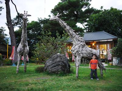 Near the Pine Garden. There was a whole wooden menagerie there.