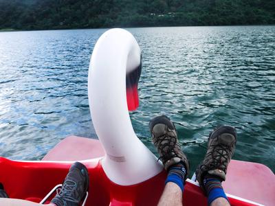 Our swan-boat. They didn't let us rent the dragon. <br/> Also pictured: my cool Tableau socks.