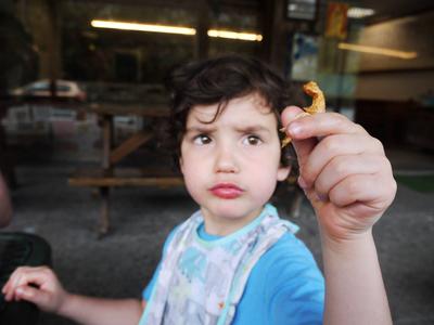 Adam wouldn't stop eating the "shrimp-chips", legs and eyes and all.