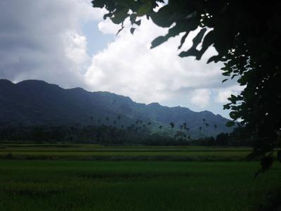 Rural Taiwan