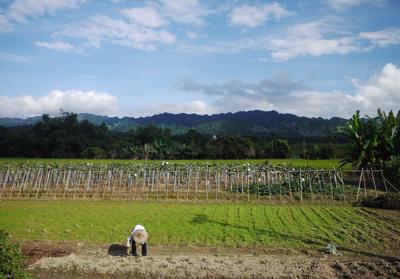 More rural Taiwan