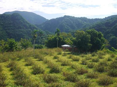 View from the aboriginal village of Qimei