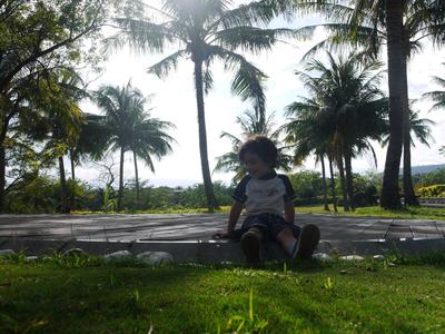 A hilltop garden, and lots more annona (not pictured).