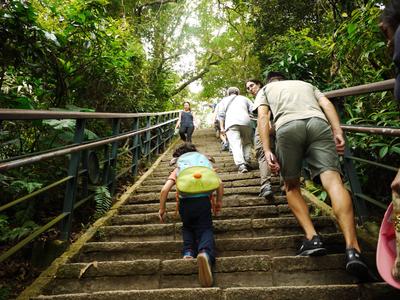 Trekking up to Elephant Mountain. It's as steep as it looks.