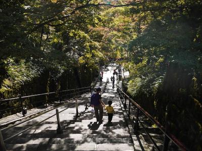 Kyomizu-dera, heading for the Otowa fountain. <br/> The fountain has three streams - one will grant health to those who drink from it, another will grant success, and the third one love. BUT you can only choose one. Adam chose health. <br/> Speaking of health, you drink using a ladle which is shared by thousands of people every day. Luckily, the ladles are sterilized with a UV lamp between users.