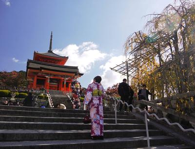 The scores of ladies roaming Kyoto wearing kimonos are all tourists who paid to dress up like a geisha for the day.