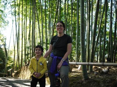 Bamboo grove at Kodaiji temple