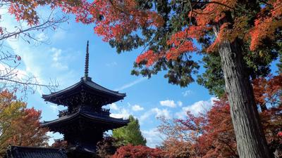 Shinnyodo temple