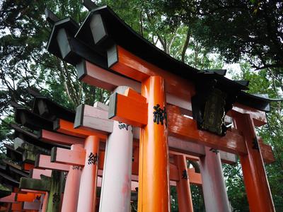 Fushimi Inari-taisha. <br/> Yes that's the one with the 10,000 torii gates.