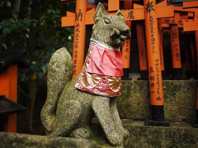 Fushimi Inari-taisha. Many temples have an associated animal. Here, it's foxes. They're everywhere.