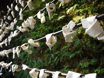 Omikuji hung out to dry