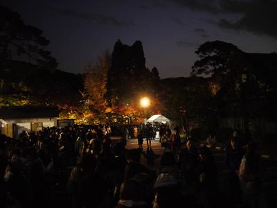 For a few weeks in autumn, temples in Kyoto open at night for illuminated foliage viewing. Eikan-do was opening for the first night of the season that day. The line-up to get in was a sight to behold, but of course since this is Japan everything moved along in an orderly and efficient manner, and once the gates opened we were inside fairly quickly.