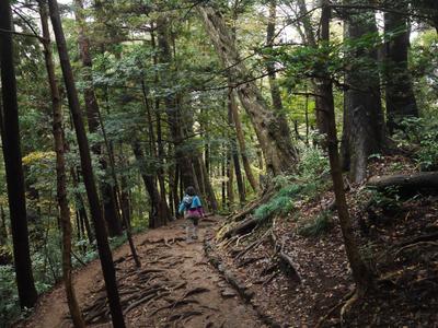 Day trip to Mt. Takao