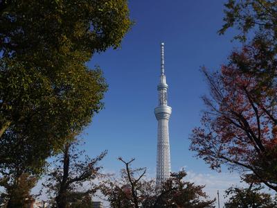 Tokyo Skytree from Asakusa