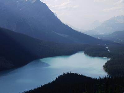 Peyto lake. This view is on the cover of most publications about the Canadian Rockies, it seems. I got some grief from my travel mates because I advertised it as “just a quick stop by the side of the road”, where in reality it was more like 15 minutes of very steep uphill from the lower parking lot.