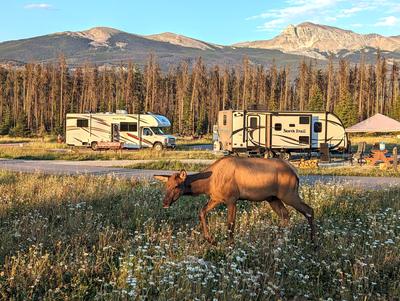 Another evening scene in Jasper