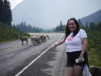 On the left: mountain goats. On the right: Yael, which means ibex, i.e. also a mountain goat