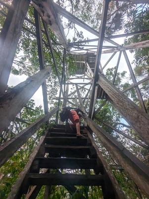 Observation tower near the entrance to Sian Ka'an reserve. The structure is about 4 stories high and very decrepit (planks missing, others hanging by a thread) but it's open to the public - "climb at your own risk".