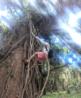 Somewhere along the Honopiilani highway. A lady who passed by gave us fermented coconut meat to try.