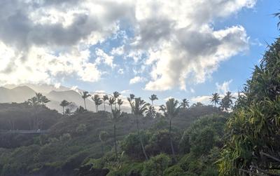 Mauka view from Waiʻanapanapa State Park. <br/> Two important words to know in Hawaiian are mauka, which means toward the mountain, and makai, which means toward the sea. Navigation directions are often given in terms of mauka/makai.