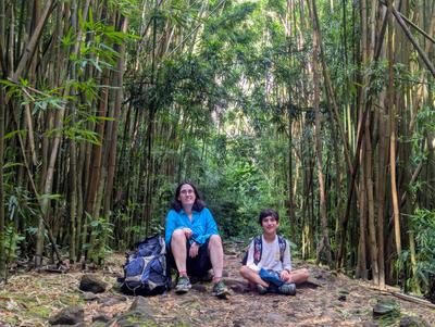 The bamboo forest, pipiwai trail