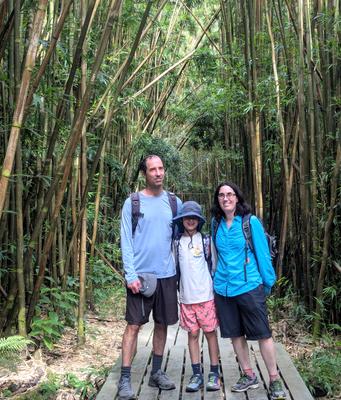 The bamboo forest