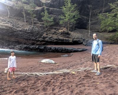 At the red sand beach in Hana, with a special guest appearance by a relaxing monk seal (it is very much alive, though we did wonder at first). The dry palm fronds mark a perimeter around the seal, so that visitors don't get too close. It's unclear why the animal chose to lie down smack in the middle of all the humans, instead of at one of the many empty stretches of coastline in the area.