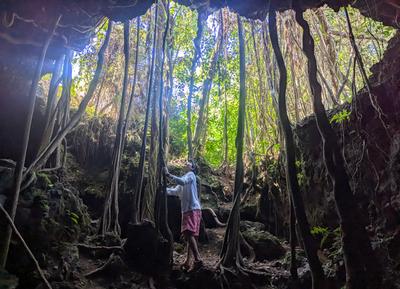 Exiting the roadside lava tube, Hana highway