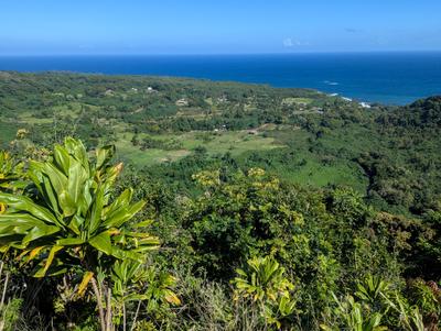 Typical East Maui