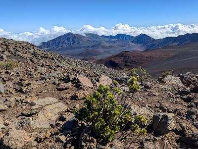 Haleakala crater